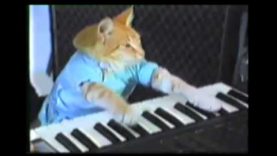Classic Leroy Jenkins by Playhim Off Keyboard Cat