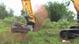 Yes Please!  Giant Excavator Eats Whole Trees In 10 Seconds